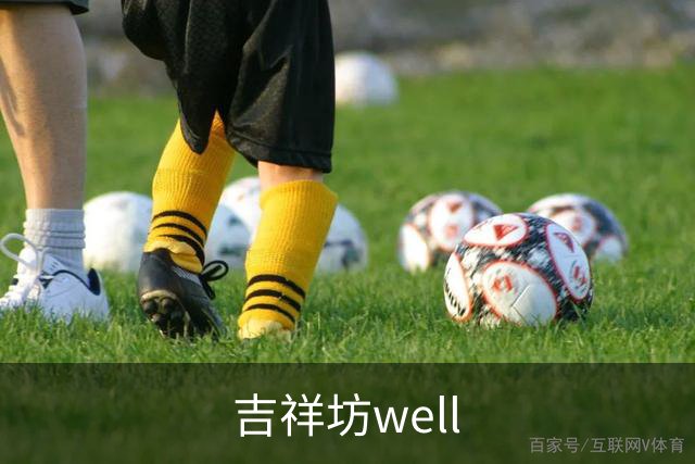 吉祥坊well公司介绍